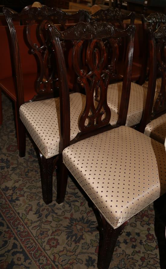 8 Chippendale style mahogany dining chairs
